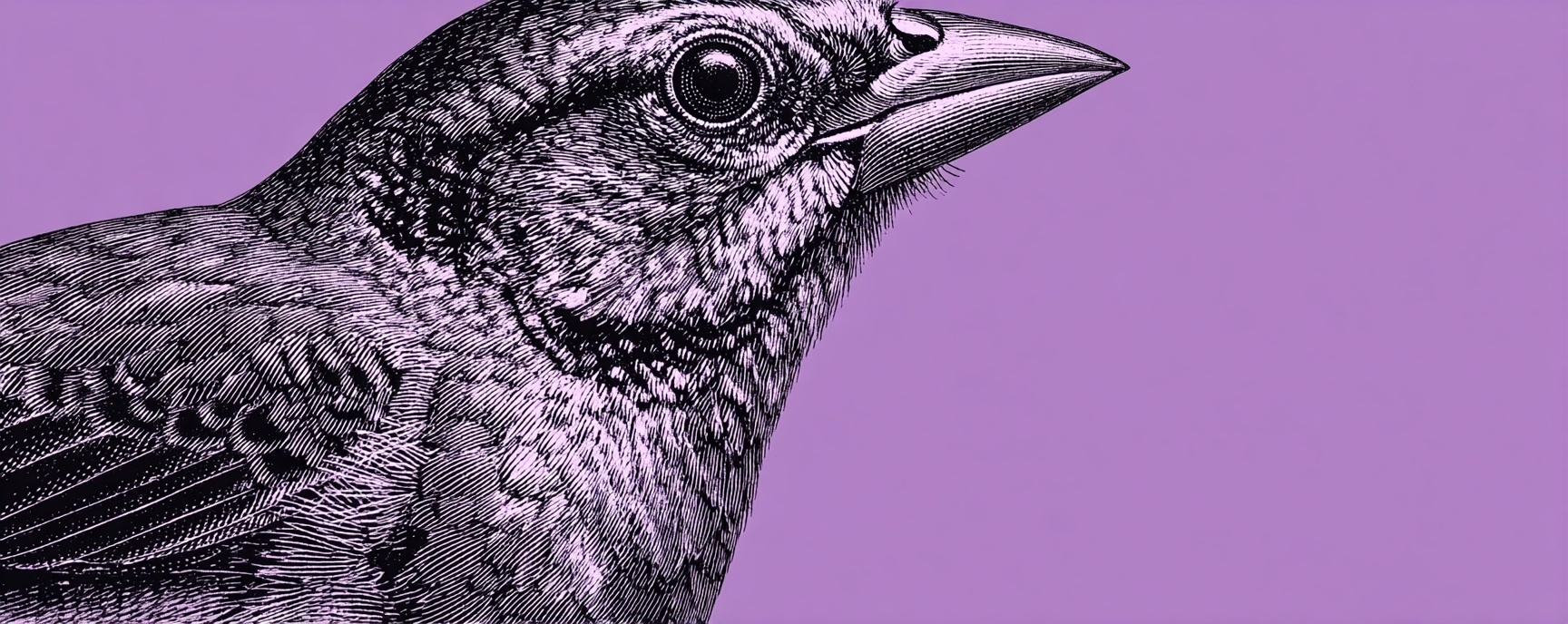 Pasted image 20251012202522.png